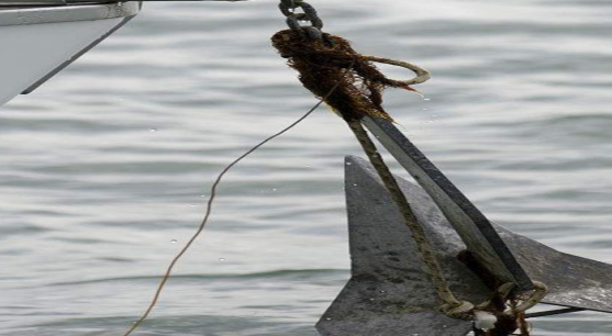 1521160170795442.png 图片14.png